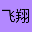 飞翔的小车