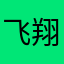 飞翔的小鸟999