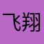 飞翔的罗贝里