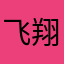 飞翔走bi