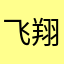 飞翔2081