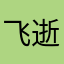 飞逝流光
