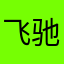 飞驰多人