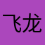 飞龙魔法师