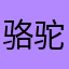 骆驼🐪敏