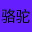 骆驼9912