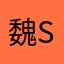 魏sssss