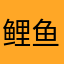 鲤鱼的夜色