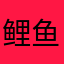鲤鱼鱼鱼