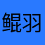 鲲羽456