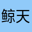 鲸天咚地