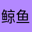 鲸鱼爱好