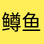 鳟鱼33