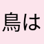 鳥は素人