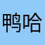 鸭哈哈哈哈哈哈哈鸭