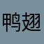 鸭翅酱