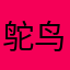 鸵鸟哥他大爷