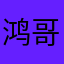 鸿哥3010