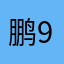鹏9121