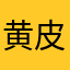 黄皮肤才对