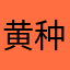 黄种人2346