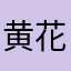 黄花~小伙子