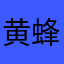 黄蜂队主教练