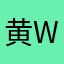 黄wp