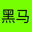 黑马骑士l