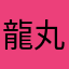 龍丸船団