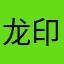 龙印大师