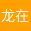 龙在天下2