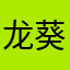 龙葵ho