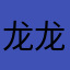 龙龙—