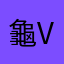 龜v