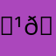 𝕹𝕵