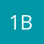 123456789 bib