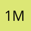 1MsTammi