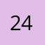 247cats