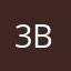 3.b07