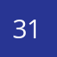 31fedaisi