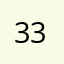 33zpix