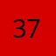 3737kitty