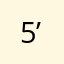 5’yeusndnjdjm