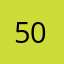 504netta