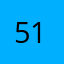 51lverfox53