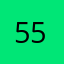 5555leo