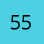 55MS55