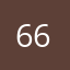 66*****0
