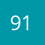 91无敌大王